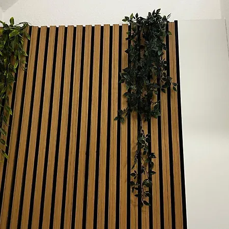 Modernes In Naehe Des Ravensburger Zentrums Und Bodensee